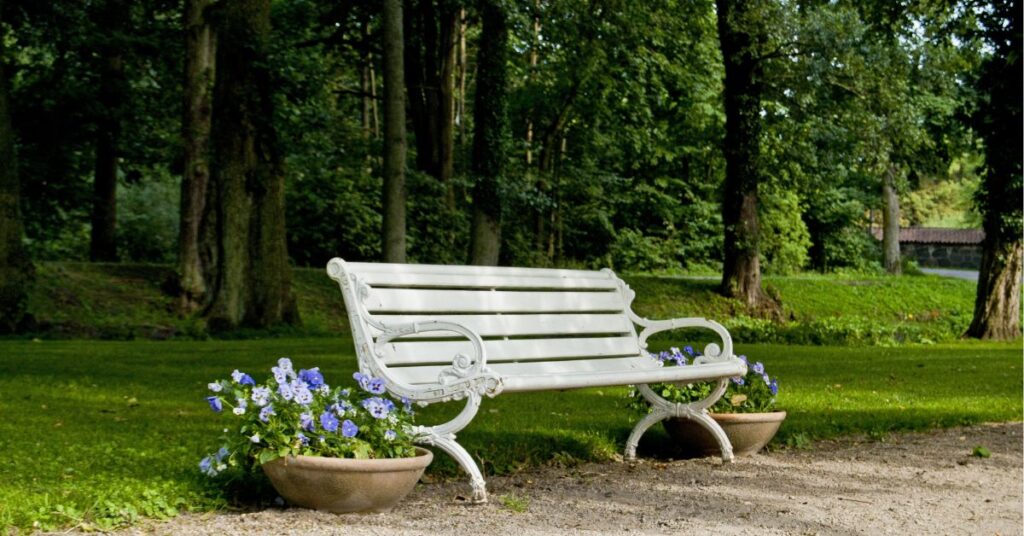 A Park Bench