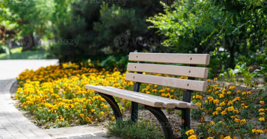 Five Park Benches