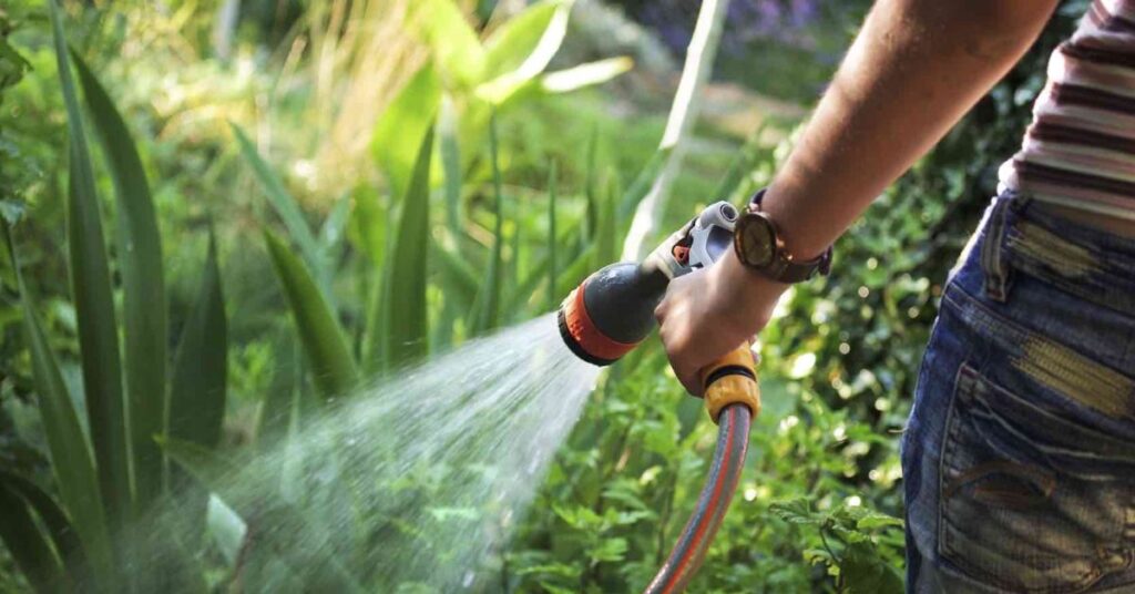 5. Garden Hose