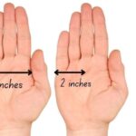 How Big Is 10 Inches Compared to An Object?