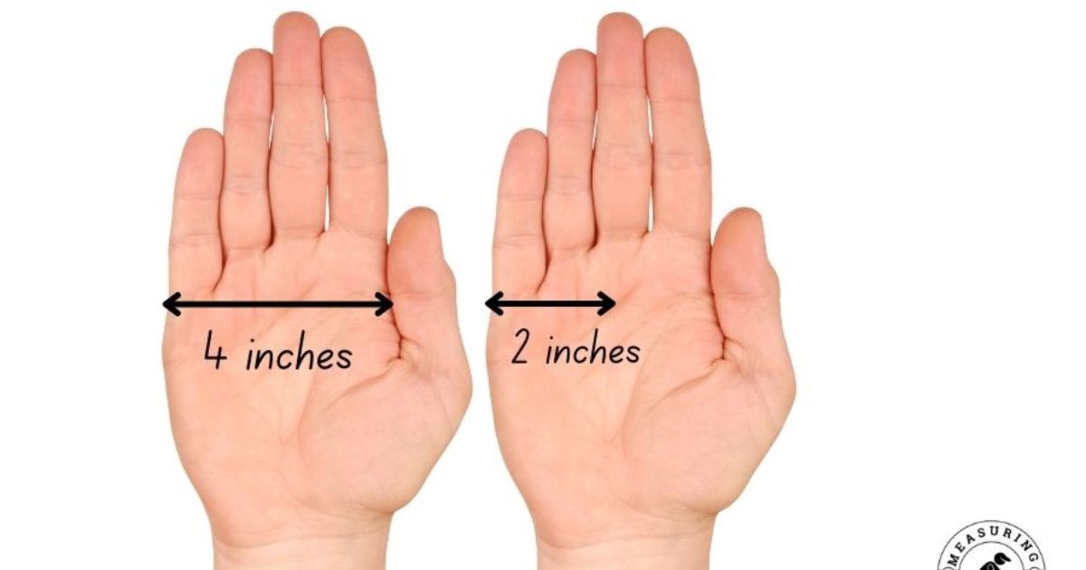 How Big Is 10 Inches Compared to An Object?