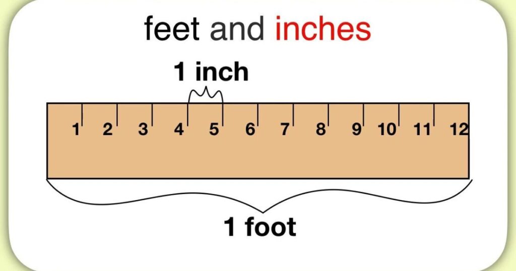 How Big is 10 Inches In Feet?