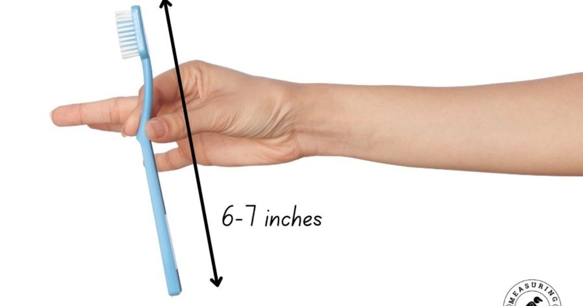 15 Common Things That Are 7 Inches Long