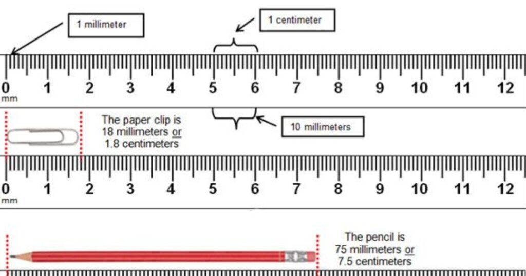 How Long are 10 Inches on a Ruler?