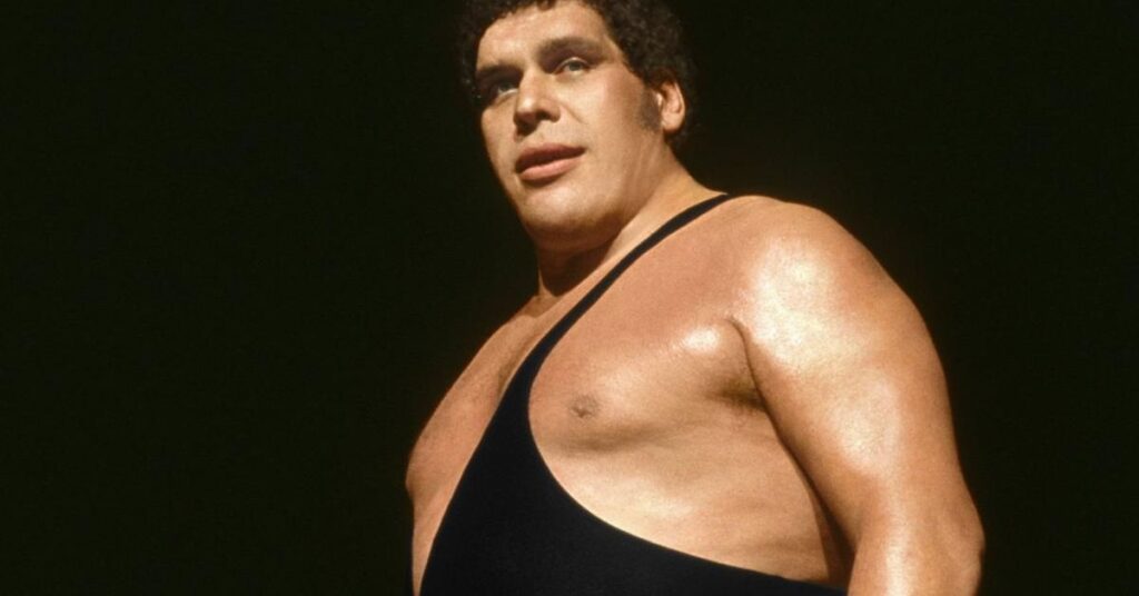  Four and a Half times the Height of André the Giant