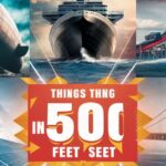 8 Things That Are 500 Feet Long or Big