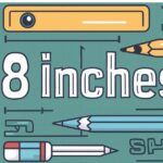 Common Things That Are 8 Inches Long