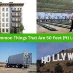 10 Things That Are 50 Feet Long or Big