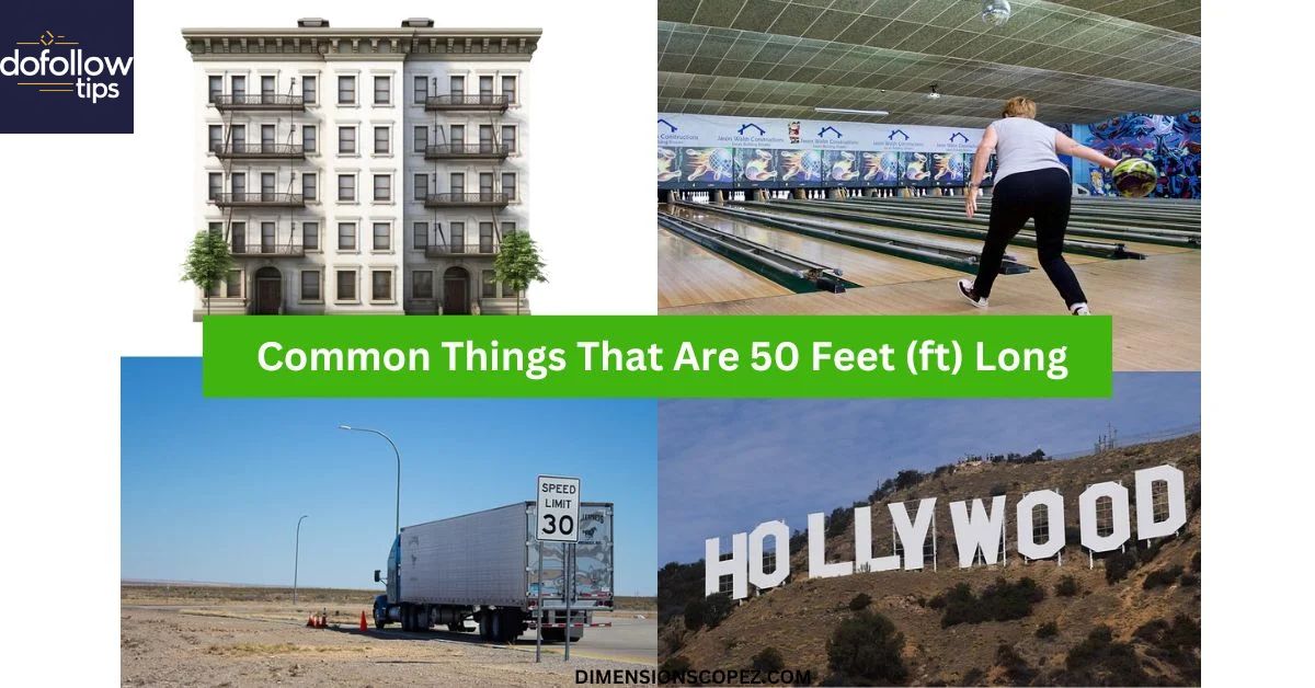 10 Things That Are 50 Feet Long or Big