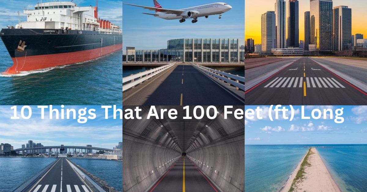 10 Things That Are 100 Feet (ft) Long