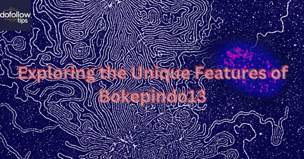 Exploring the Unique Features of Bokepindo13