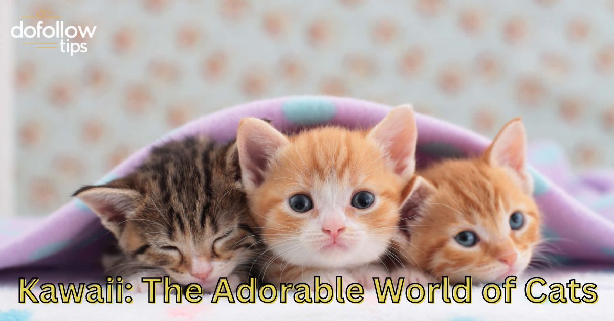 Kawaii: The Adorable World of Cats